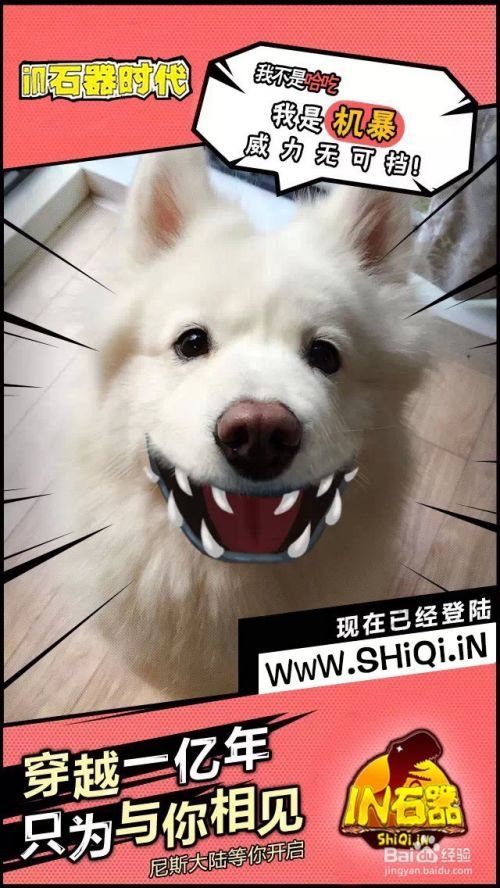 石器时代发布网新开石器时代官方技术交流站