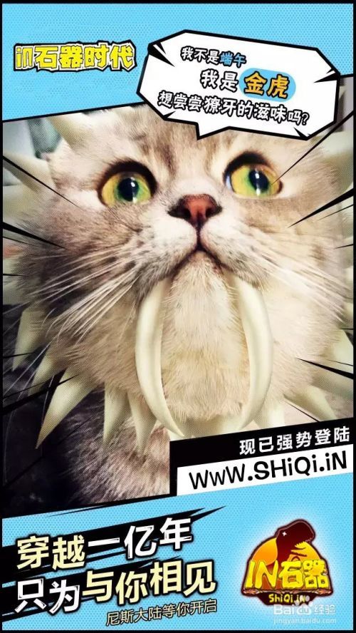 石器时代发布网新开石器时代官方技术交流站