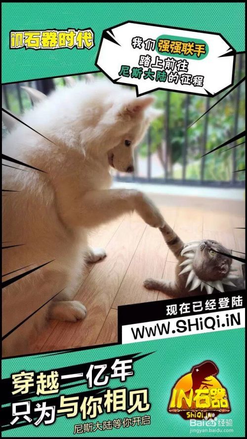 石器时代发布网新开石器时代官方技术交流站
