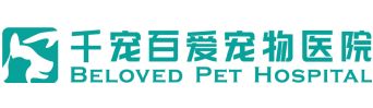 千宠百爱医院
