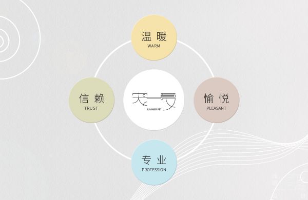 《宠一夏》宠物品牌视觉形象设计 