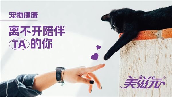美滋元：深耕宠物行业20年，面对新兴品牌的崛起，该何去何从？
