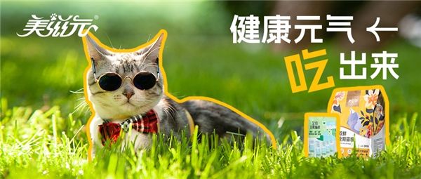美滋元：深耕宠物行业20年，面对新兴品牌的崛起，该何去何从？