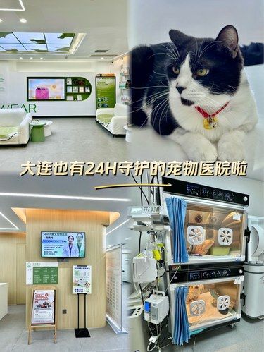 终于找到靠谱宠物医院！24小时守护，价格亲民
