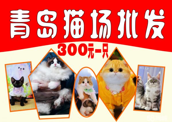 店主头像