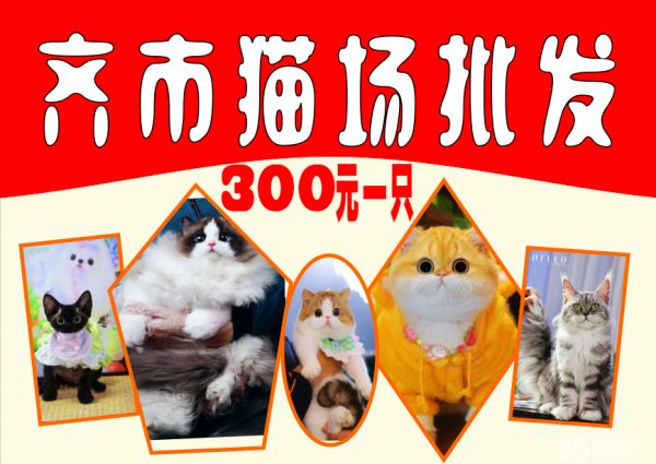 店主头像