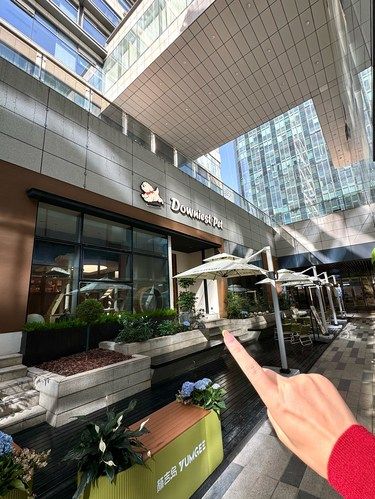 原来合肥真的有！！人宠共享空间 超1000平