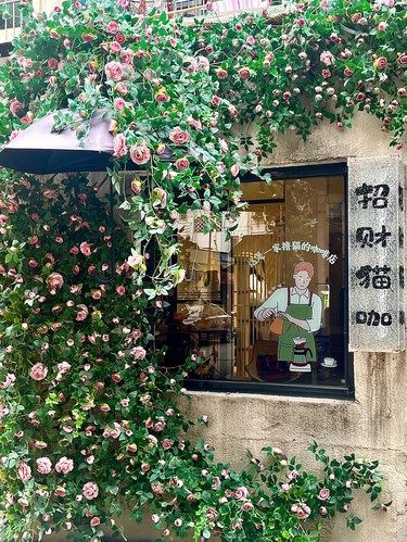 一家可以撸猫的咖啡店！