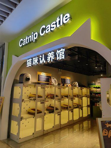 猫咪认养馆，本质是分期买猫吧？