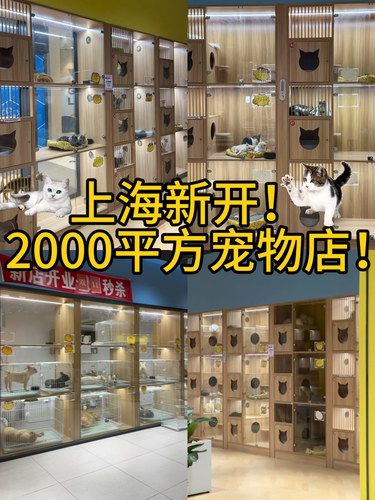 上海新开2000平方宠物店！真的逛不完！
