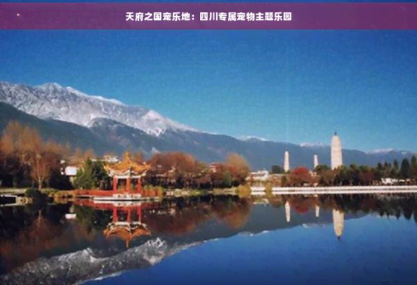 天府之国宠乐地：四川专属宠物主题乐园