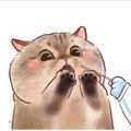 https://p1.meituan.net/userheadpicbackend/ccdeb9b0eb3f87d4b75bd82bbf0bb64e420613.jpg%40120w_120h_1e_1c_1l%7Cwatermark%3D0