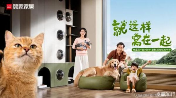 智能宠物家居风靡，传统家具OUT？探索宠物经济的下一片蓝海！