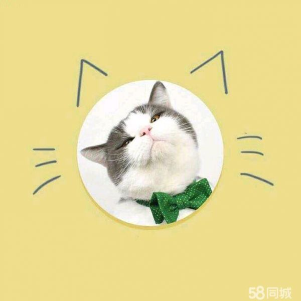 店主头像