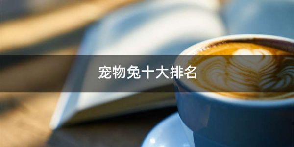 宠物兔十大排名