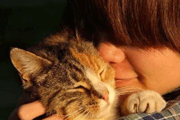 宠物猫咪名字大全