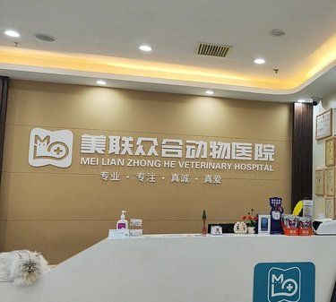 专业护理，宠物秒变活力四射小明星！
