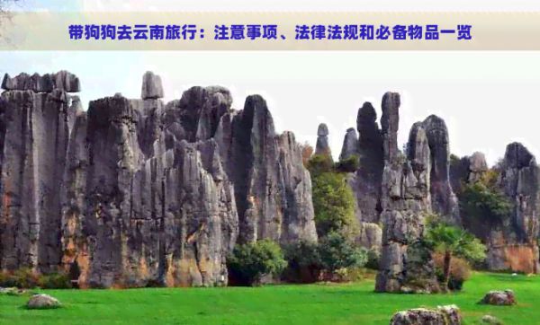 带狗狗去云南旅行：注意事项、法律法规和必备物品一览