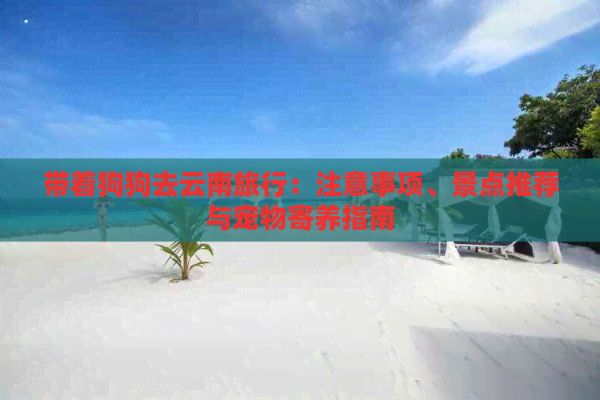 带着狗狗去云南旅行：注意事项、景点推荐与宠物寄养指南