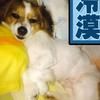 爱妈咪爱牛牛