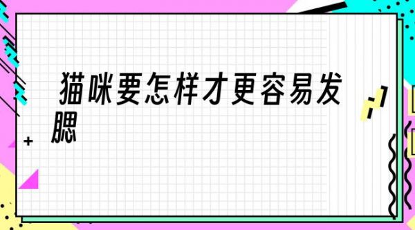 猫咪要怎样才更容易发腮