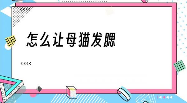 怎么让母猫发腮