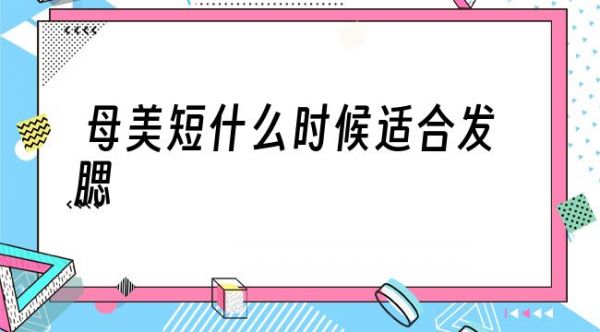 母美短什么时候适合发腮