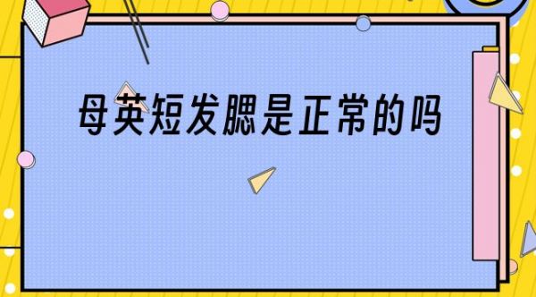 母英短发腮是正常的吗