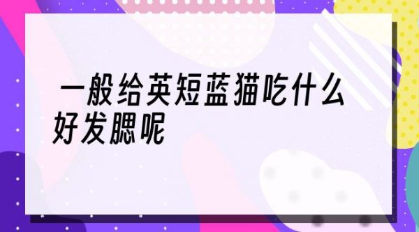 一般给英短蓝猫吃什么好发腮呢