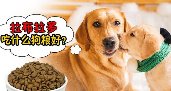 以梗犬食谱大揭秘（为您的犬宠爱心烹调）