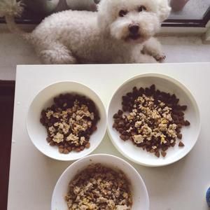 狗狗饭食~自制猪肉罐头的做法 步骤4