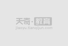 线猫动物画