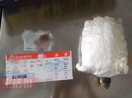 男子过机场安检裆部藏宠物龟
