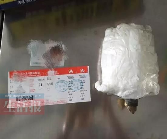 安检人员从男旅客裤裆里查获的乌龟