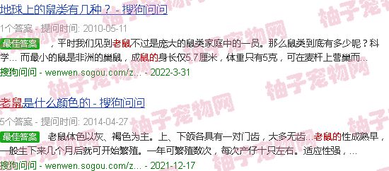 鼠的种类