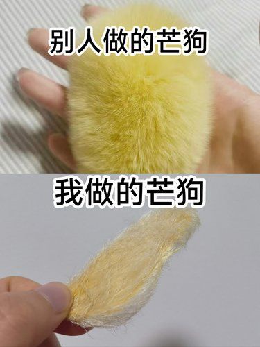 我的芒狗是秃头[捂脸]