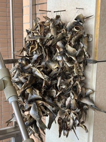这鱼干同时满足三个人的兴趣爱好！