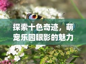 探索十色奇迹,萌宠乐园眼影的魅力之旅