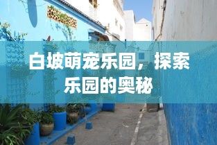 白坡萌宠乐园，探索乐园的奥秘