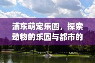 浦东萌宠乐园，探索动物的乐园与都市的绿洲