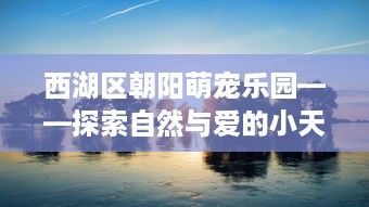 西湖区朝阳萌宠乐园——探索自然与爱的小天地