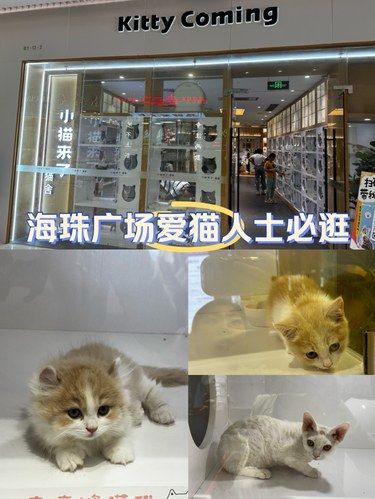 海珠广场 香香宠物店