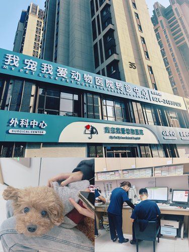 动物界的医大一院[强][强][强]