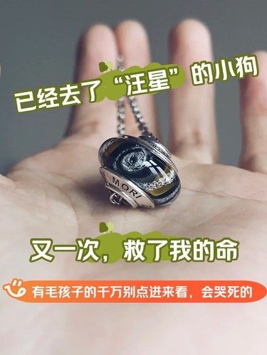 它是不是在天上头都磕破了，才为我求到重生[流泪]