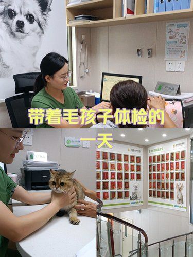 医术超赞 医心更美~