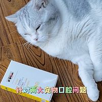 口腔问题困扰解决！99%杀菌口喷救星！