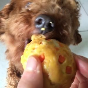 狗狗的窝窝头的做法 步骤6