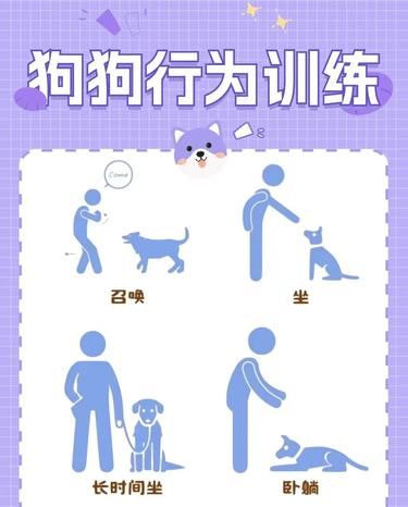 [宠物训练】零基础如何教会狗狗基本行为?