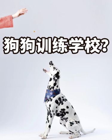 东哥训练基地