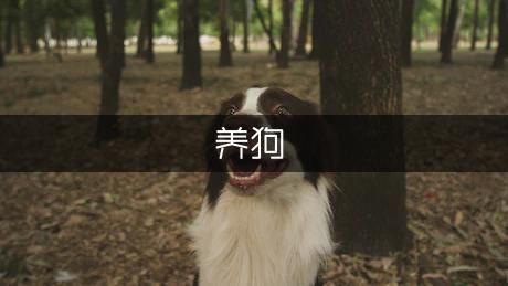 养*皮肤过敏怎么办